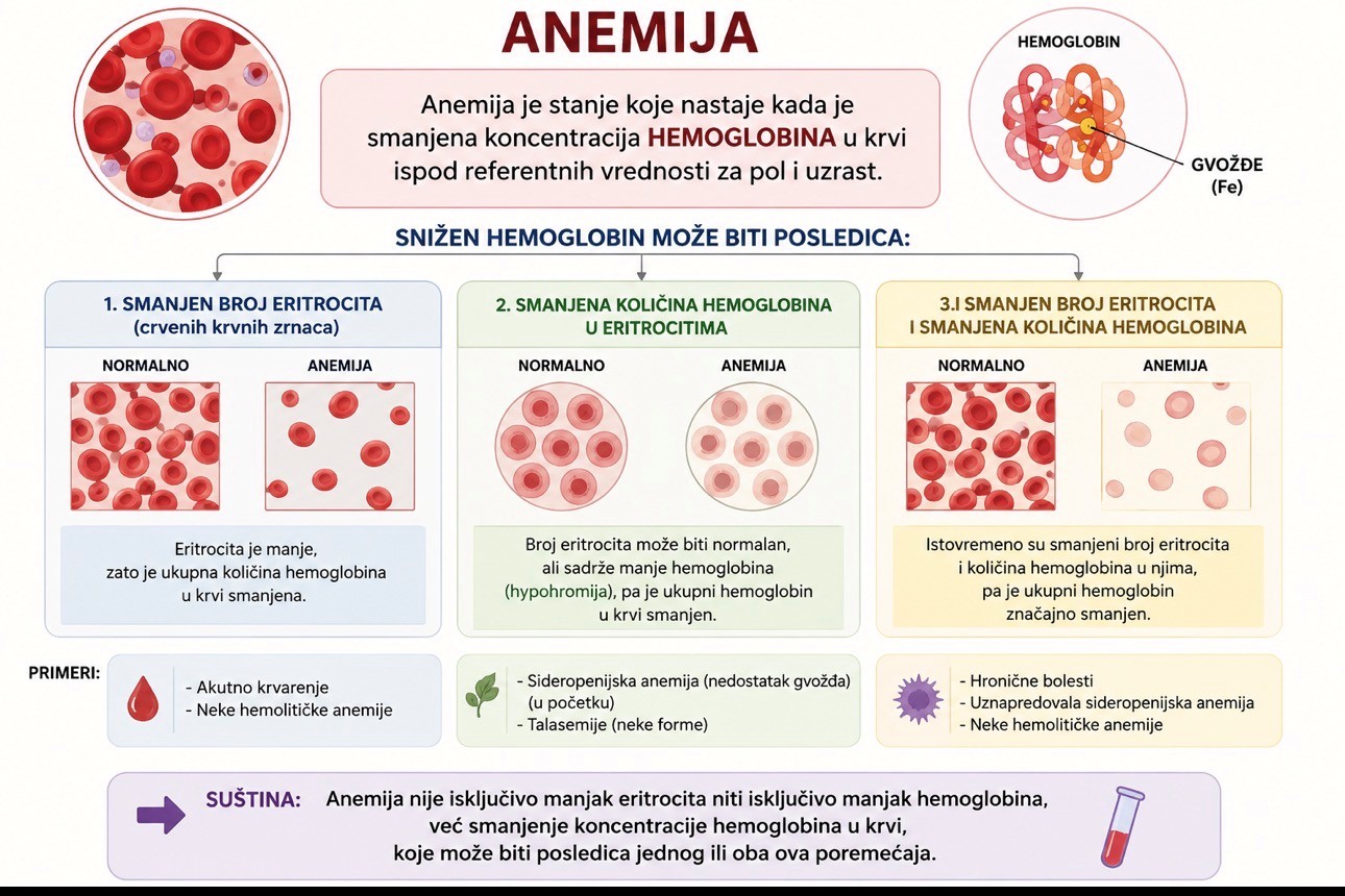 Anemija slika skica